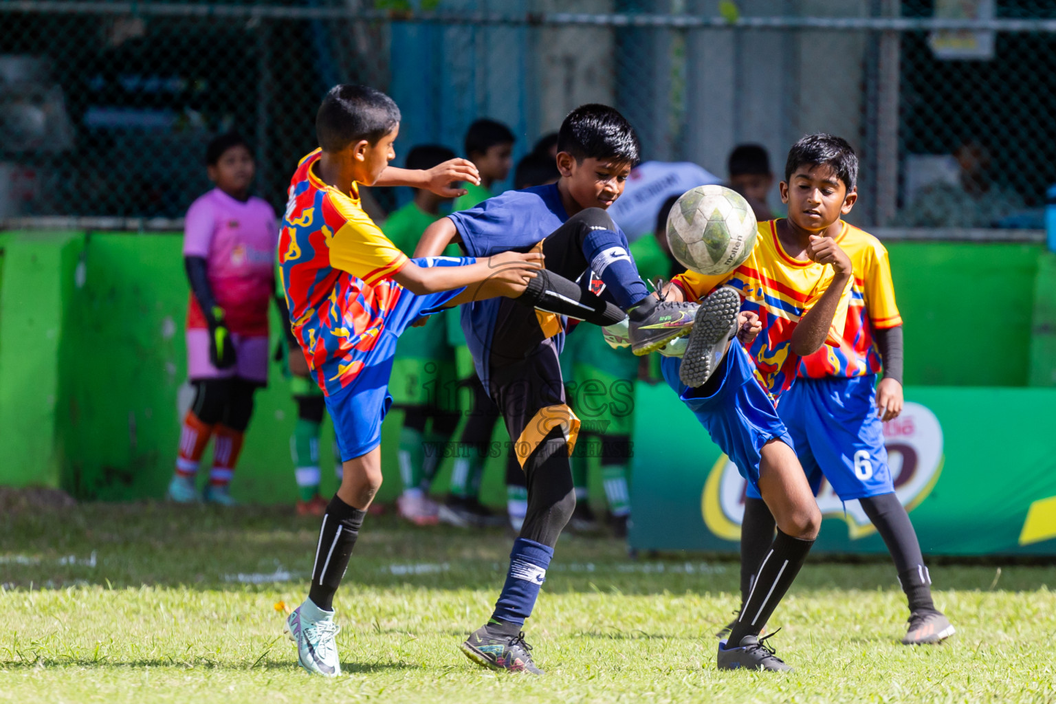 Day 3 MILO Kids 7s Weekend 2024 held in Male, Maldives on Saturday, 19th October 2024. Photos: Nausham Waheed / images.mv