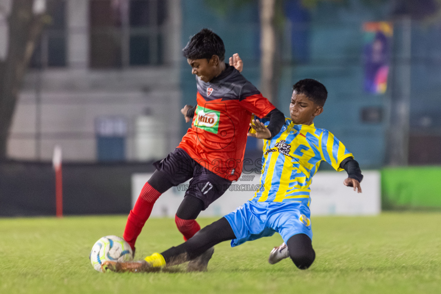 TC vs Valencia  (U12) in Day 5 of Dhivehi Youth League 2024 held at Henveiru Stadium on Friday 29th November 2024. Photos: Shuu Abdul Sattar/ Images.mv