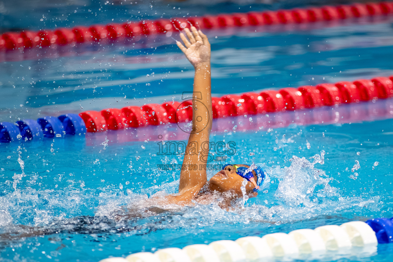 Day 3 of BML 6th National Kids Swimming Kids Festival 2025 held in Hulhumale', Maldives on Wednesday, 5th November 2024. 

Photos: Hassan Simah / images.mv